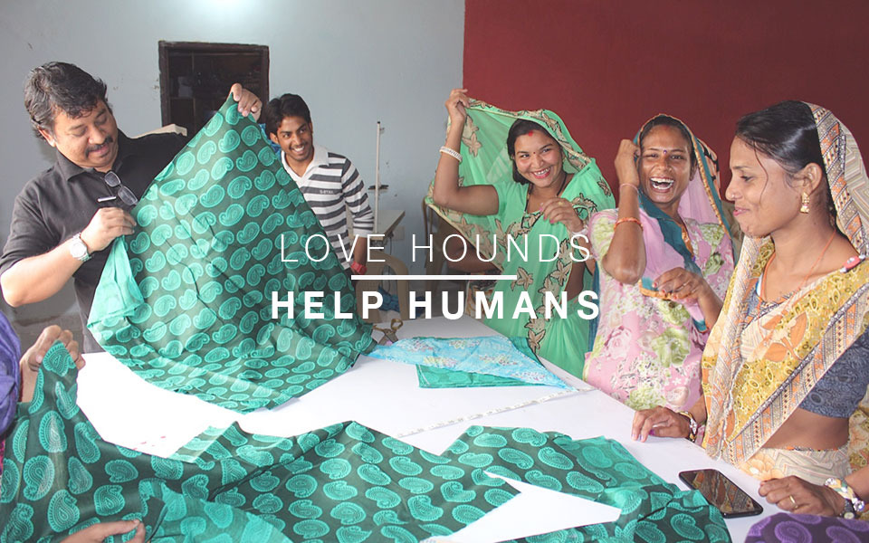 slider-love-hounds-help-humans-960x600